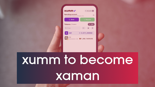 hand holding a mobile phone showing the xumm wallet application